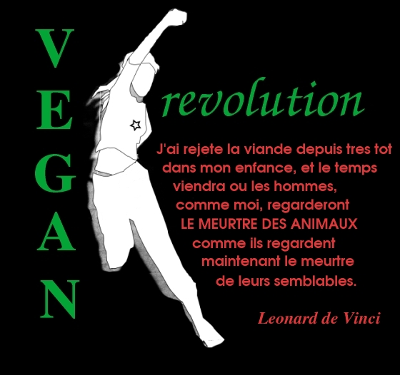 Vegan révolution